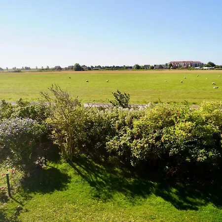 Einfach Spitze Friedrichskoog