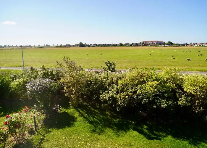 Einfach Spitze Friedrichskoog