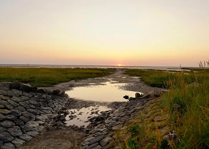 Einfach Spitze Friedrichskoog